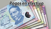 Pagos con dinero en efectivo o transferencia bancaria.